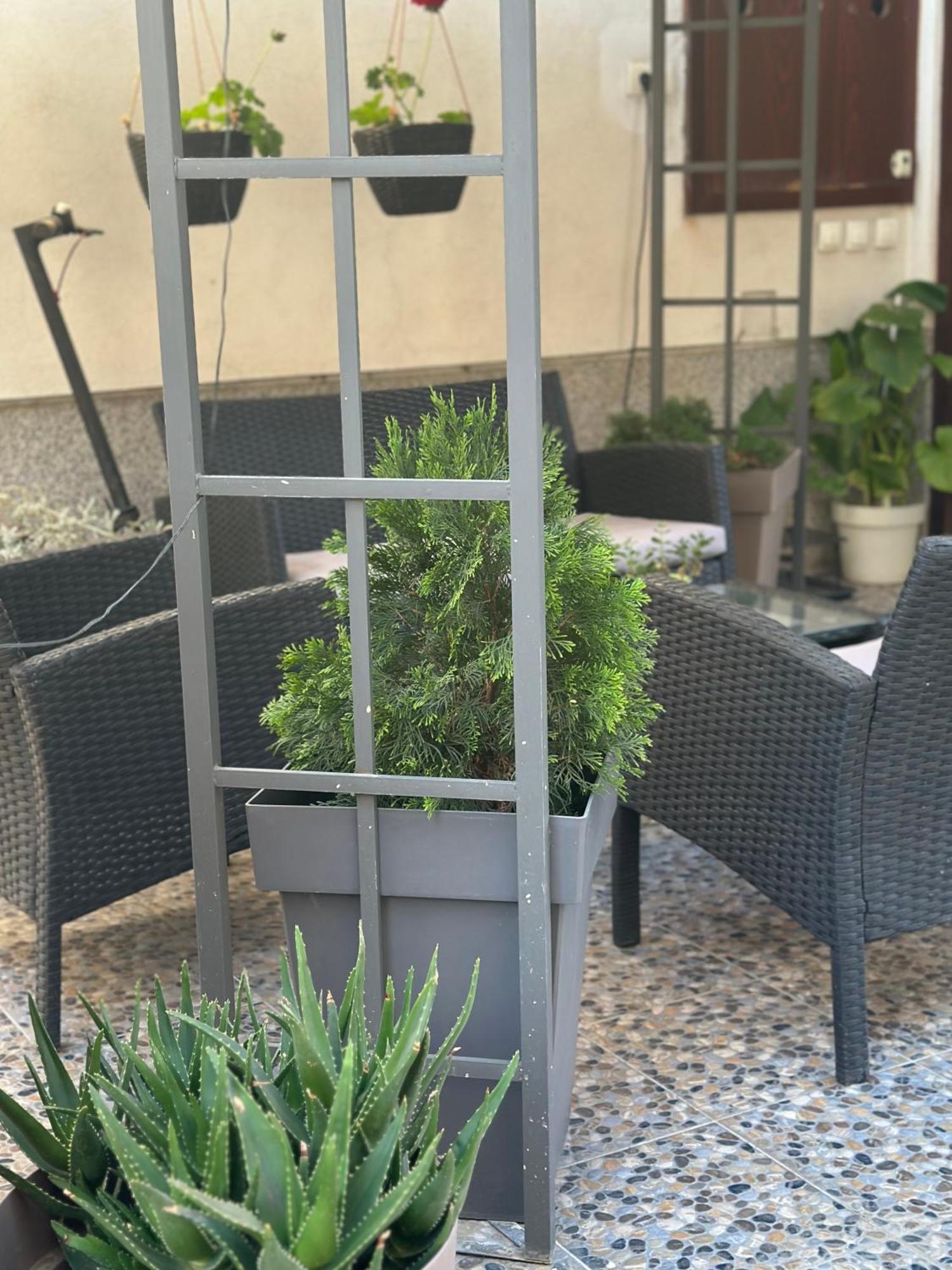 Ferienwohnung Lilyy Leskovac  Exterior foto