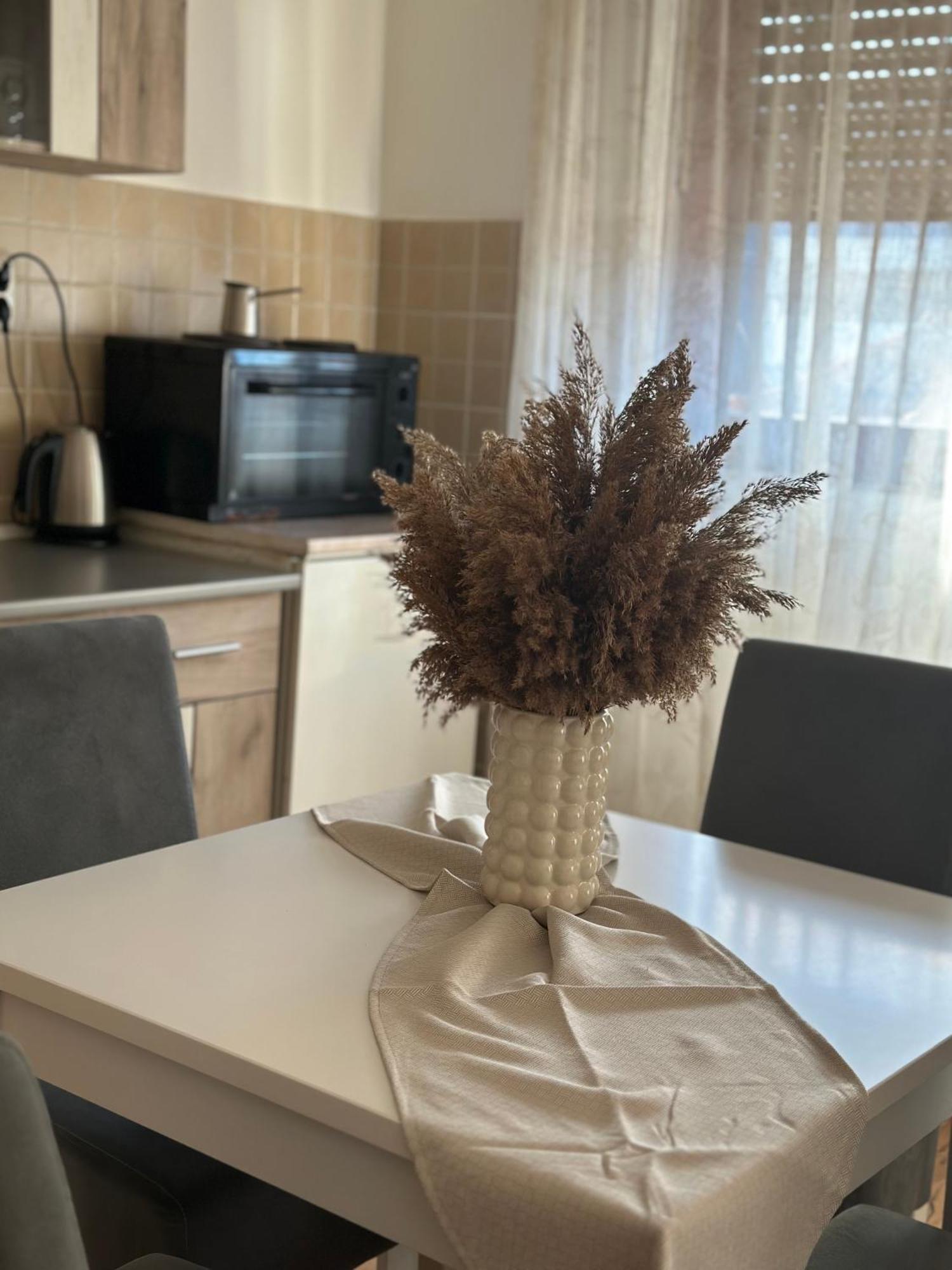 Ferienwohnung Lilyy Leskovac  Exterior foto